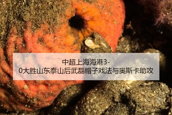 zhong-chao-shang-hai-hai-gang-da-sheng-shan-dong-tai-shan-hou-wu-lei-mao-zi-xi-fa-yu-ao-si-ka-zhu-gong-2-686.jpg
